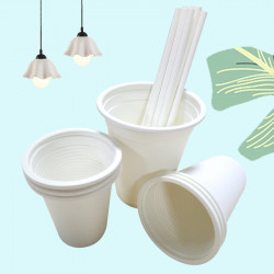Biodegradable Disposable Cups