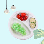 Biodegradable Disposable Plates