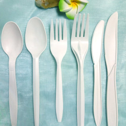 Biodegradable Disposable Cutlery Set