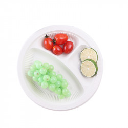 Biodegradable Corn Starch Plates