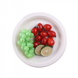 Biodegradable Plastic Plates