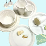 Biodegradable Disposable Plates