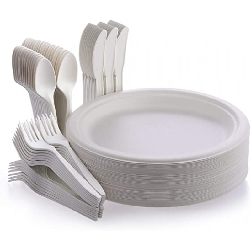 Disposable Tableware