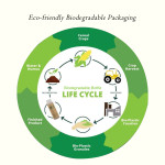 GBGE Biodegradable Hotel Amenities Set