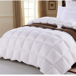 Five Star Hotel 180GSM 50 Percent Goose Down Duvet 10pcs pack