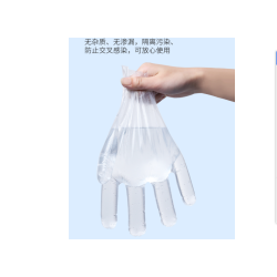 Plastic Disposable Gloves