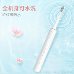 Household Electric Toothbrush Adult Ultrasonic Toothbrush